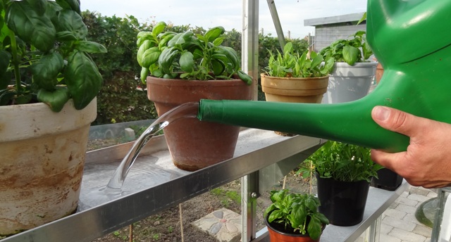 Kapilærmåtte - fibertex - 1,2 kvm