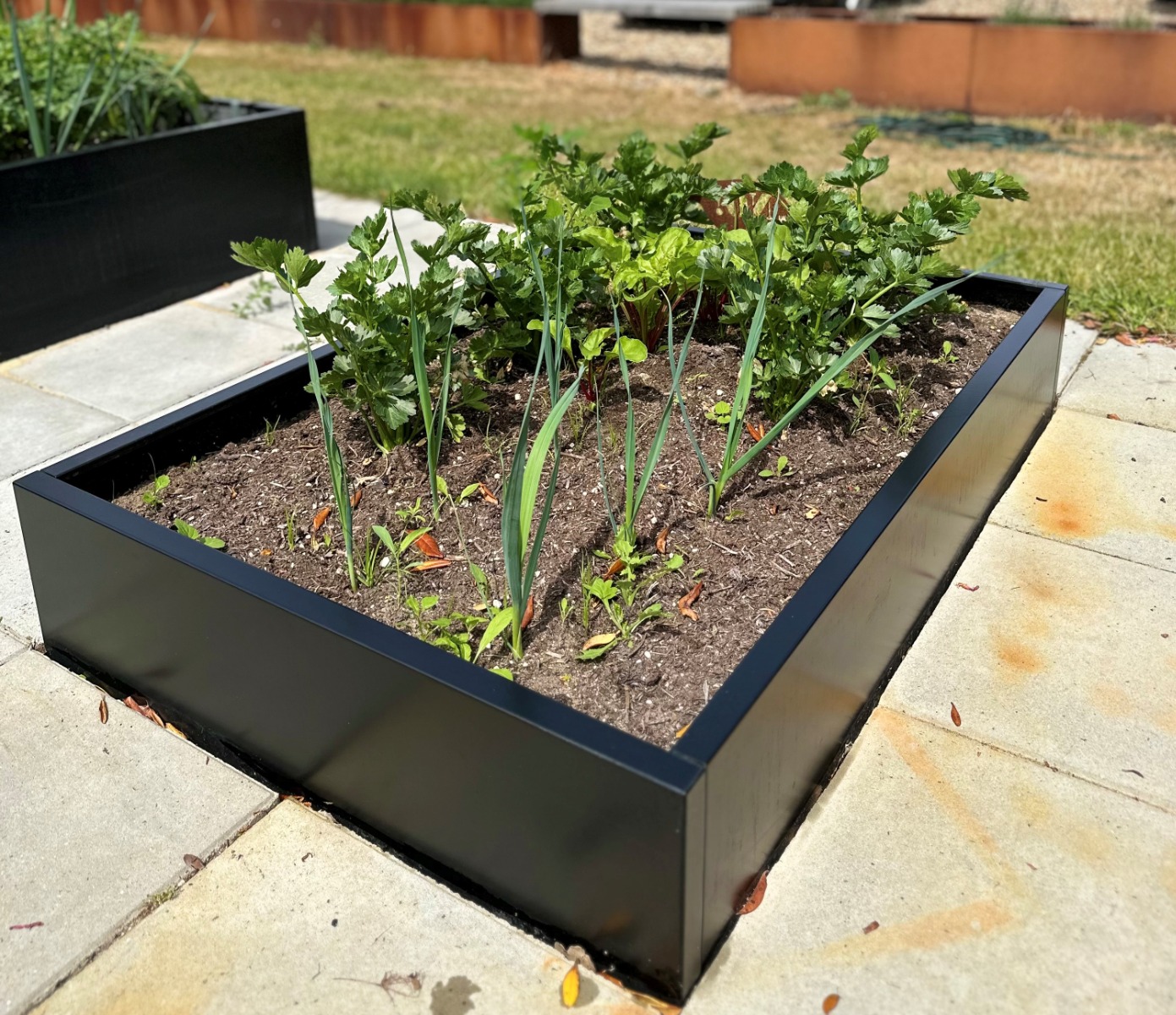 Højbed i sort | B80 H25 | Flere længder