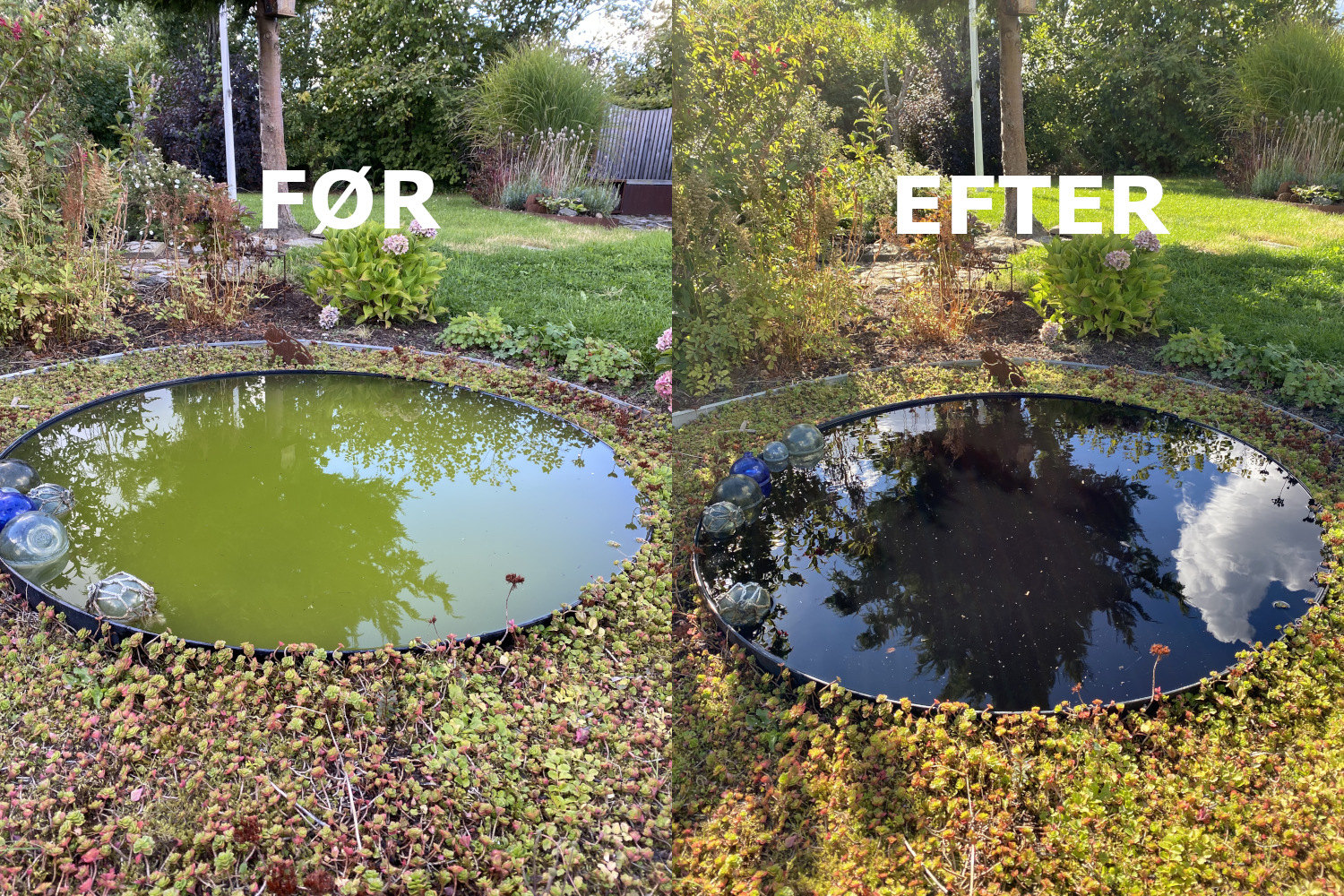 Dyofix farve sort - pulver