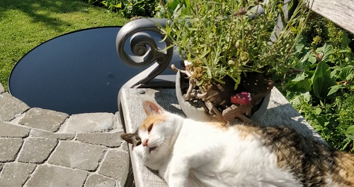 Sortlakeret rundt spejlbassin med høj kant | Ø60 cm