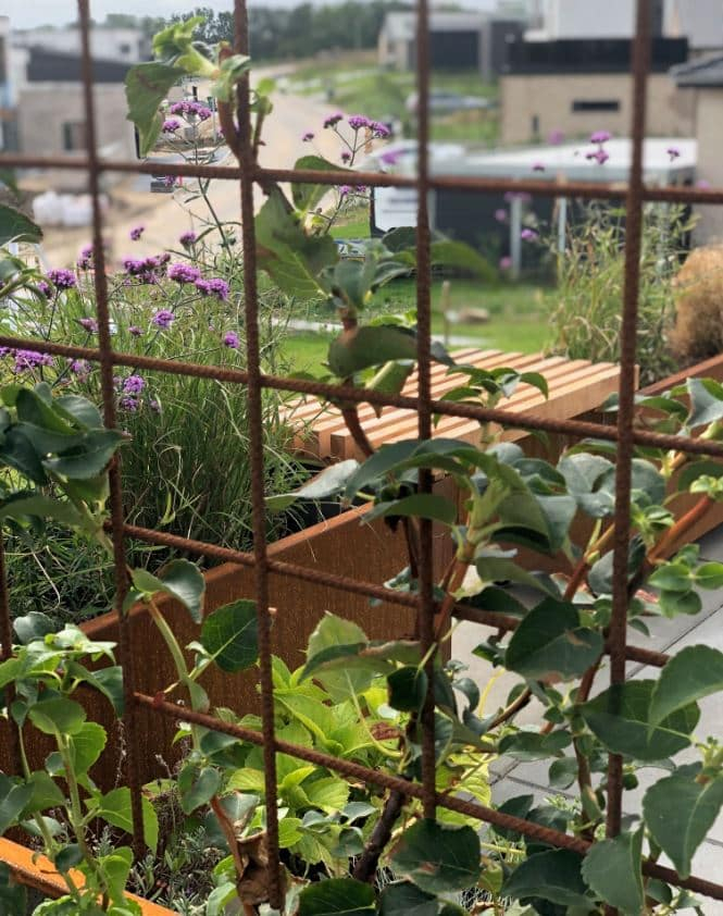 Plantekasse corten m/espalier 120 x 40 x 40 cm