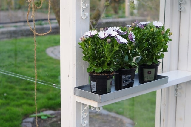 Dekorationsbakke / Zinkbakke 42 x 15 x 3 cm