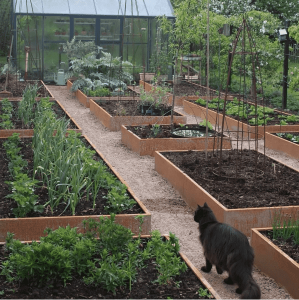 Køkkenhaven | Jern | L348 x B120 x H25 cm