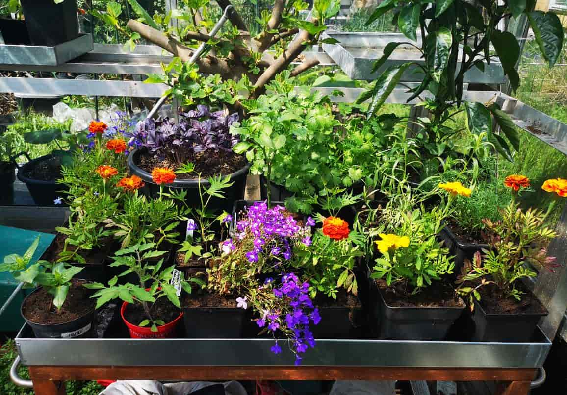 Zinkbakker med længde 87 cm og bredde 27, 37 og 47 cm