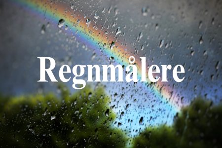 Regnm_ler_blog_450x300