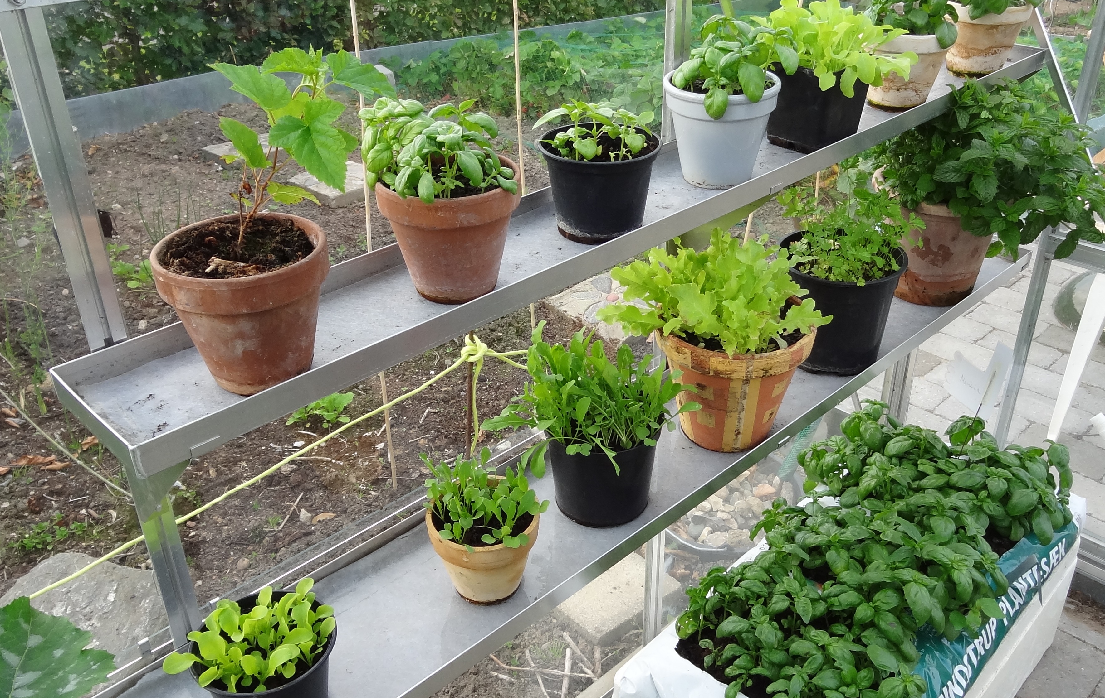 Drivhushylde/bakke til undervanding - flere varianter