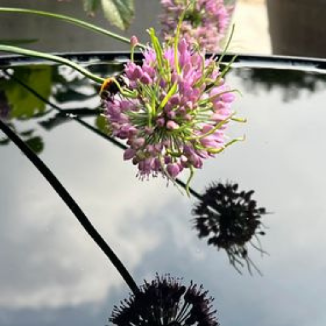 Spejlbassin | Bowle Ø80 cm