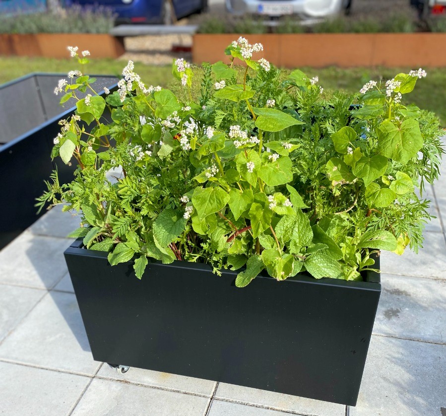 Sort plantekasse | 80 x 40 x 40 cm