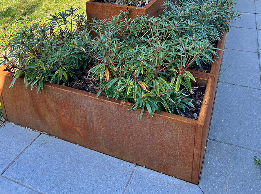 gavekort-baggrund-tinyfied