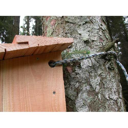 Natuglekasse i træ