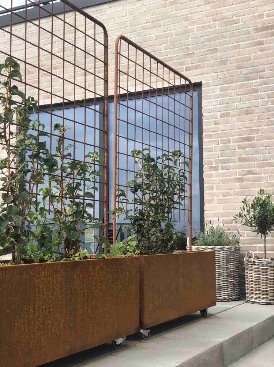 Espalier til plantekasse | Jern