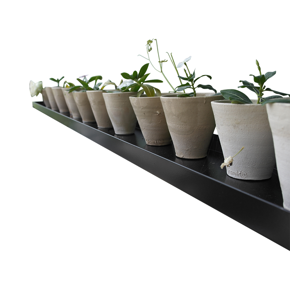 Drivhushylder Sort pulverlakerede  - flere varianter - højde 3 cm-90 x 15 cm