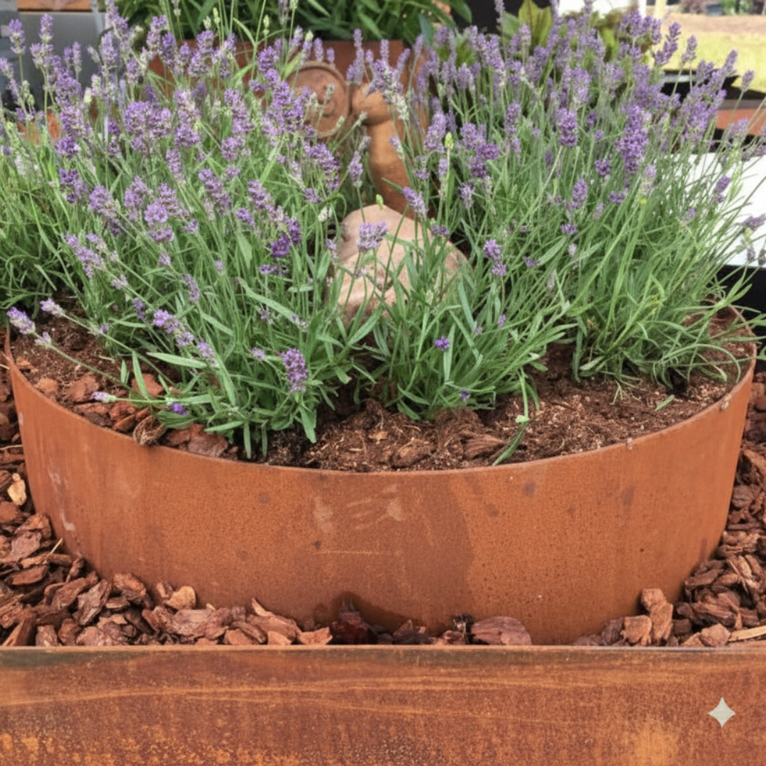 Rundt højbed Ø60, 10 cm høj | 2 mm cortenstål | Åben