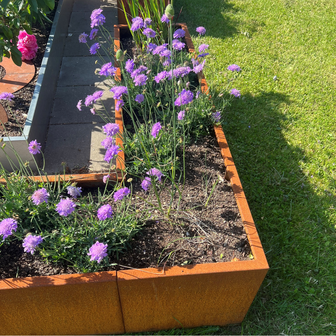 Hjørne højbed i corten | B40 H40 | Flere længder