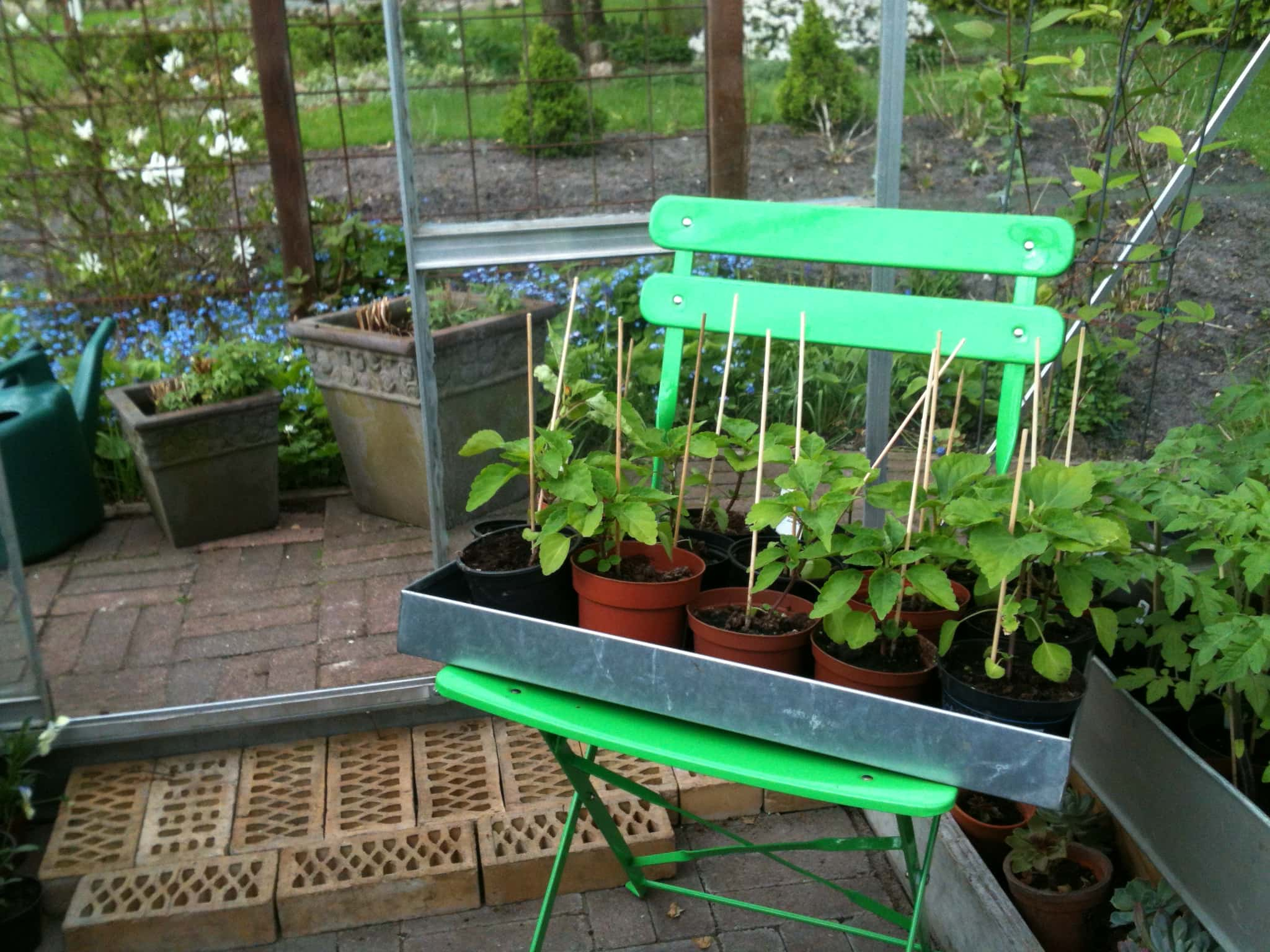 Zinkbakke  53,5 x 31,5 x 5,5 cm