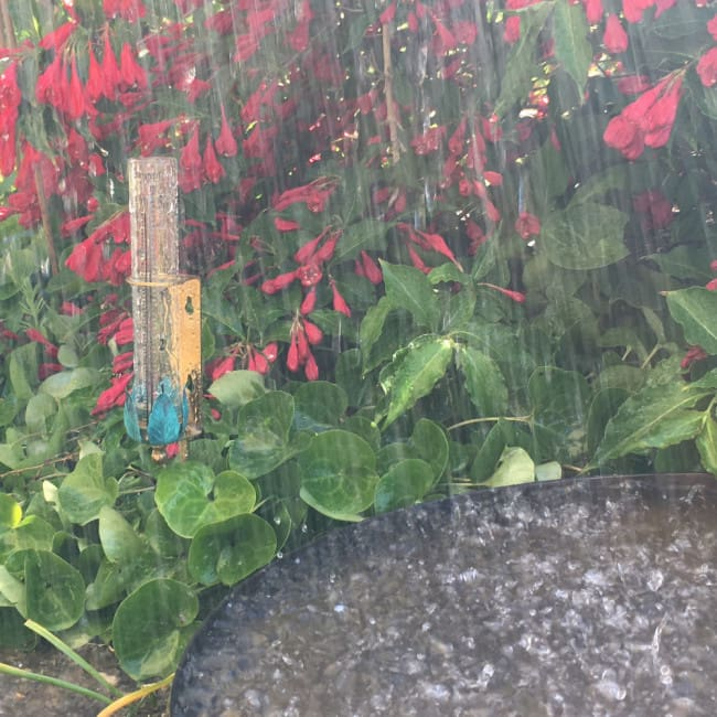 Regnmåler i messing og glas