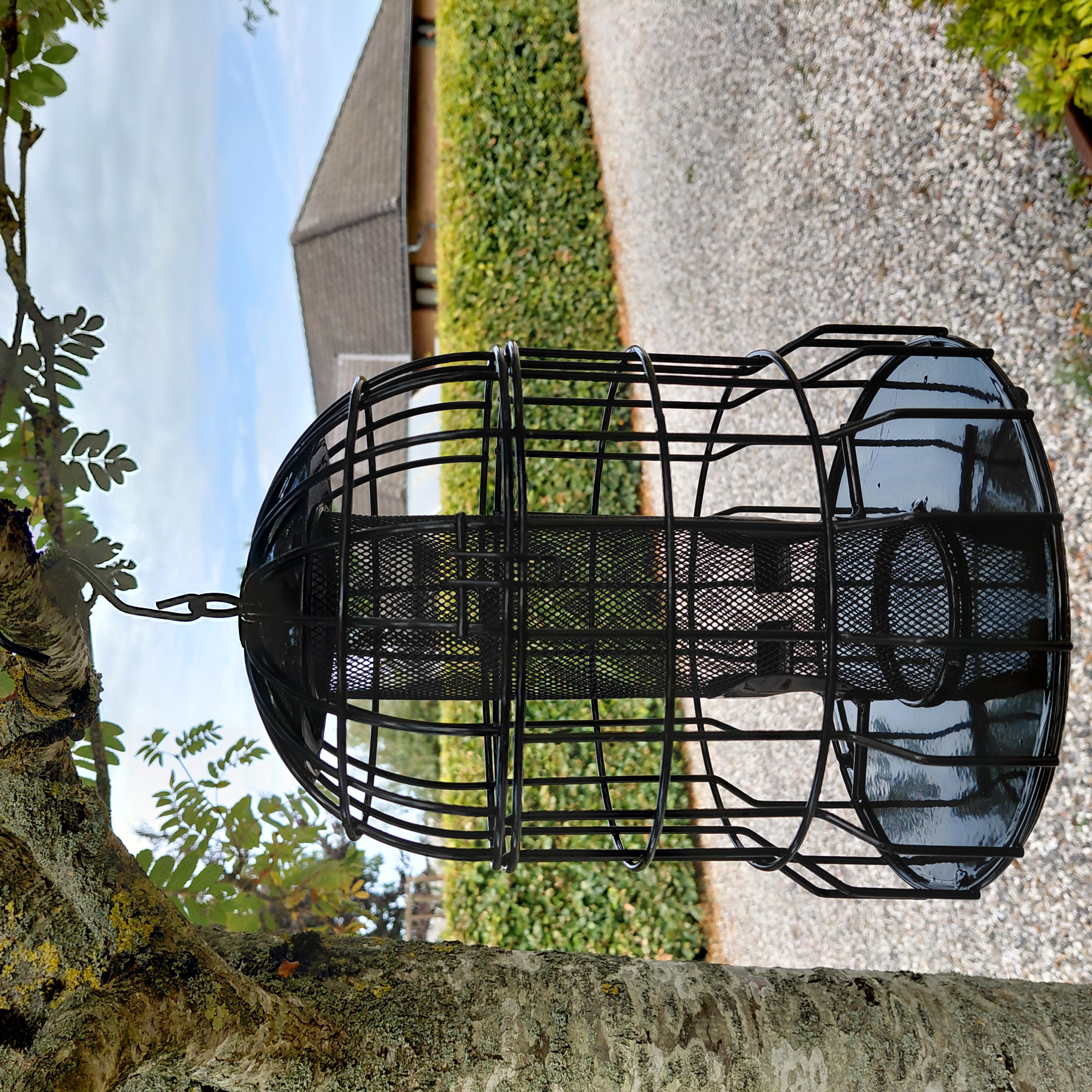 Beskyttet foderklokke | Frø