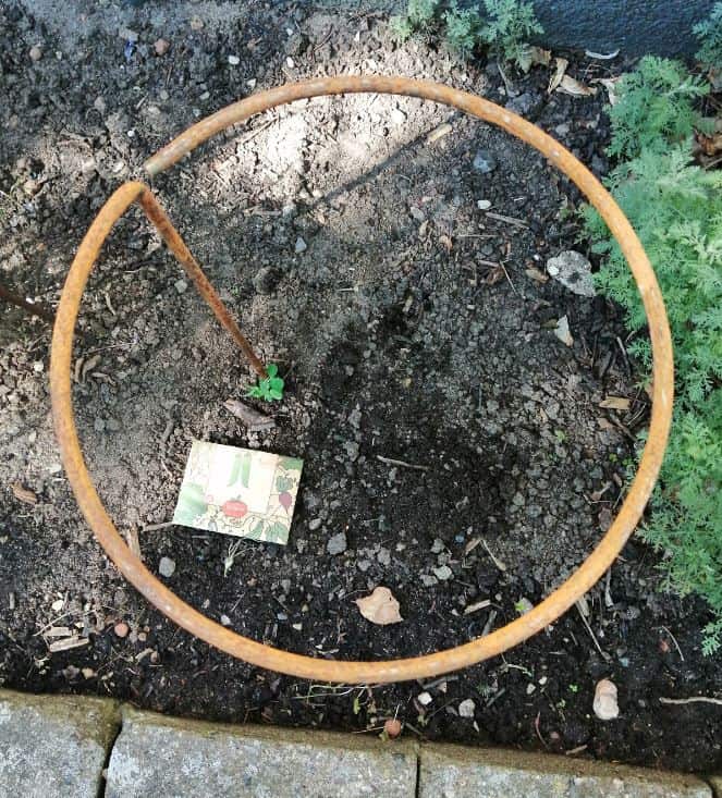 Staudeholder jern Ø20 1 spyd