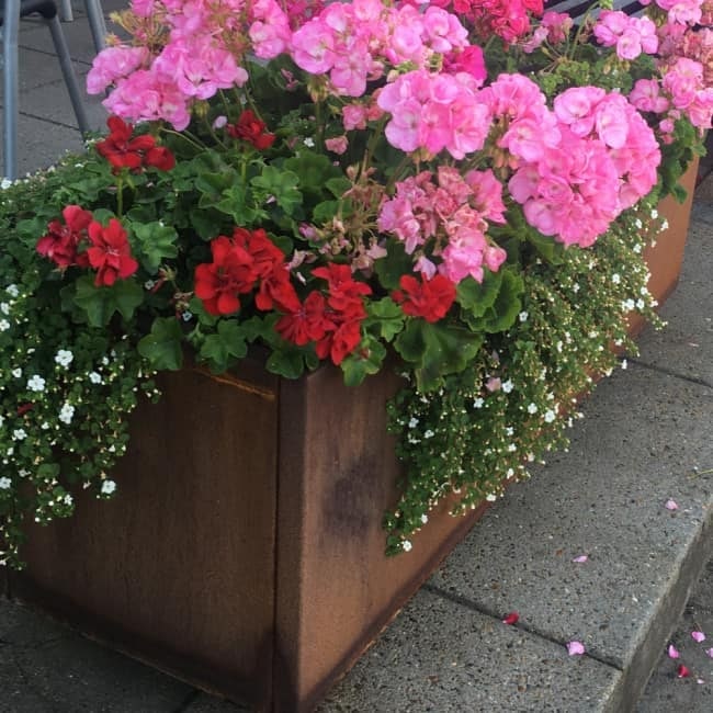 Plantekasse i cortenstål | 120 x 40 x 40 cm