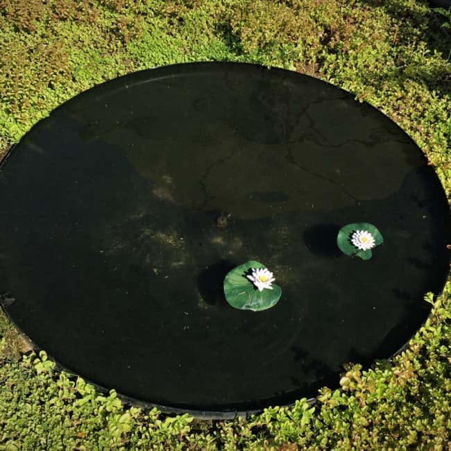 Sortlakeret rundt spejlbassin med høj kant | Ø60 cm