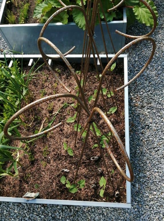 Plantestøtte sæt med 4 stk.