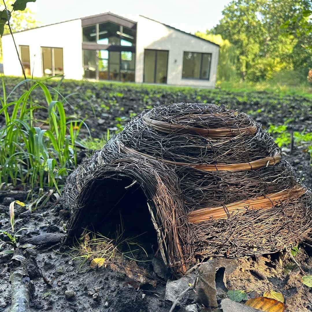 Pindsvinebo iglo natur