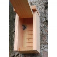 Træløberkasse i dansk douglastræ