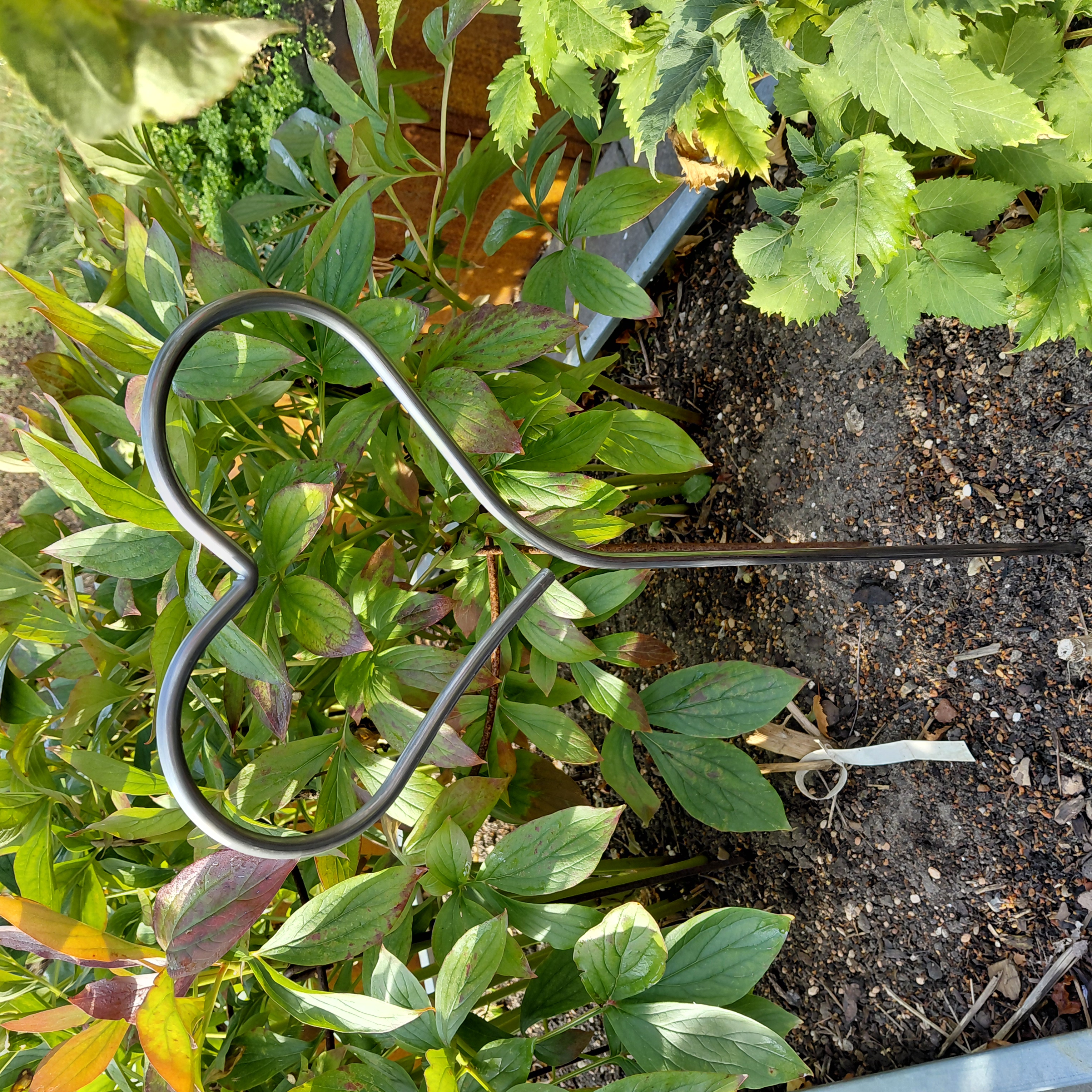 Hjerter på spyd | sæt med 2 størrelser