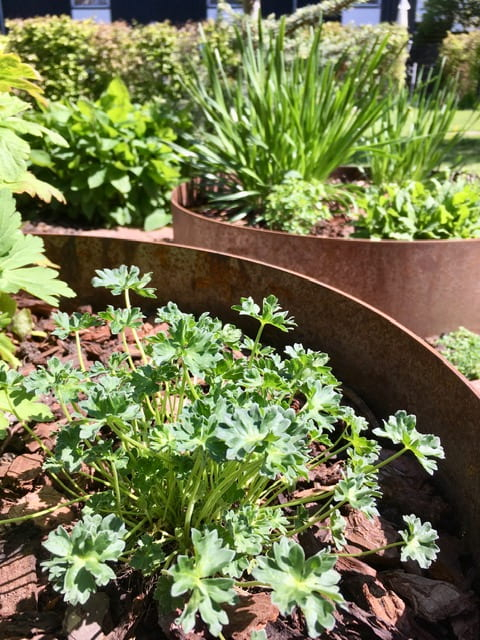 Rundt højbed Ø120, 40 cm høj | 3 mm jern | Åben