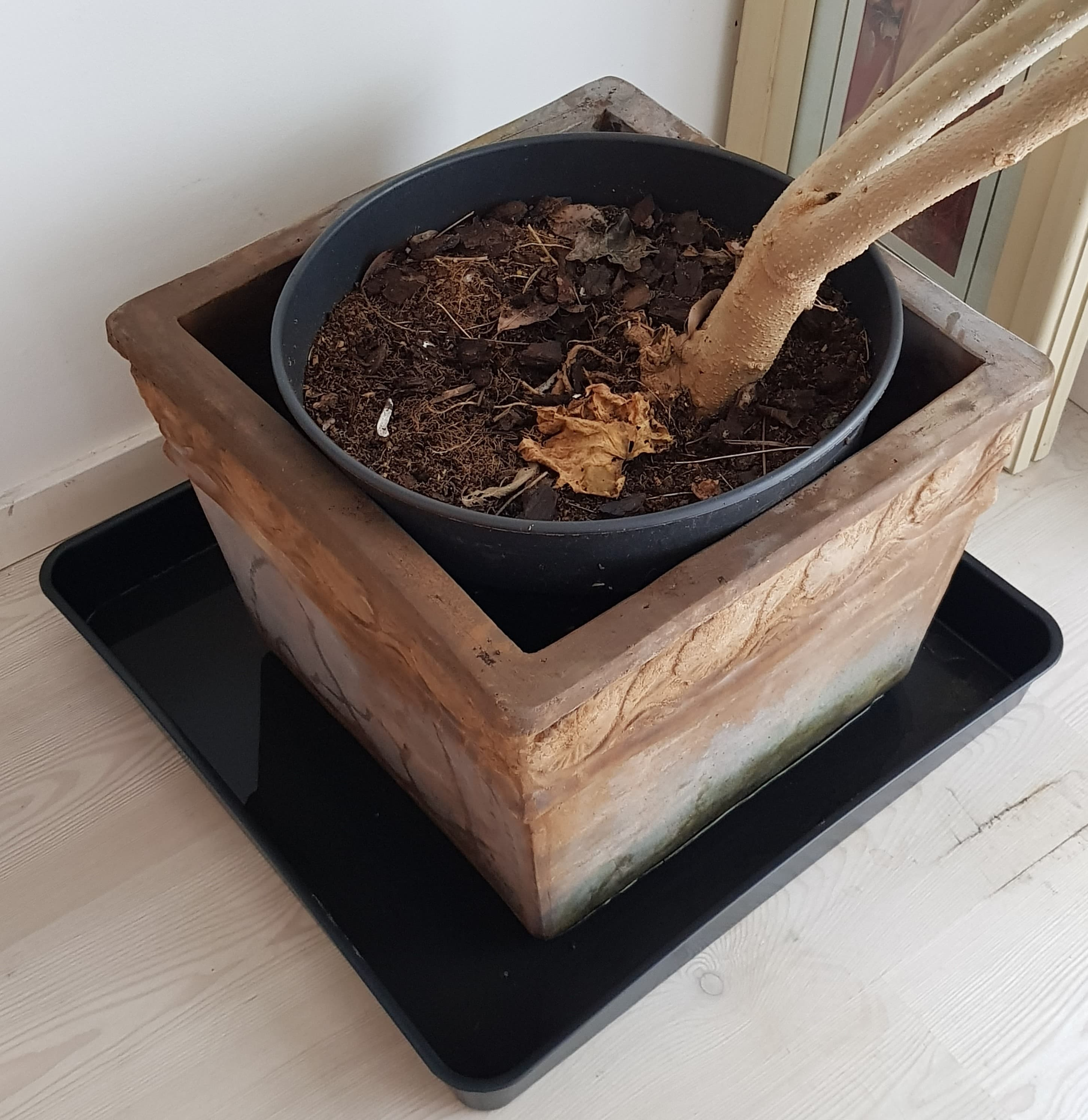 Plastbakke 59 x 59 x 7 cm