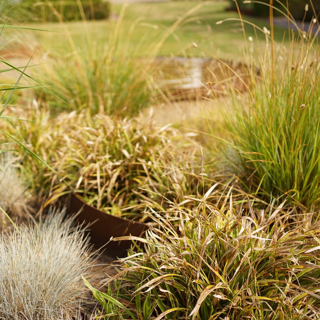 Rust spejlbassin Ø150 med runde højbede | Flere størrelser