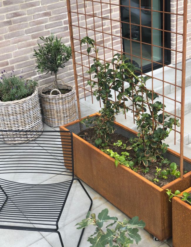 Espalier til plantekasse | Jern