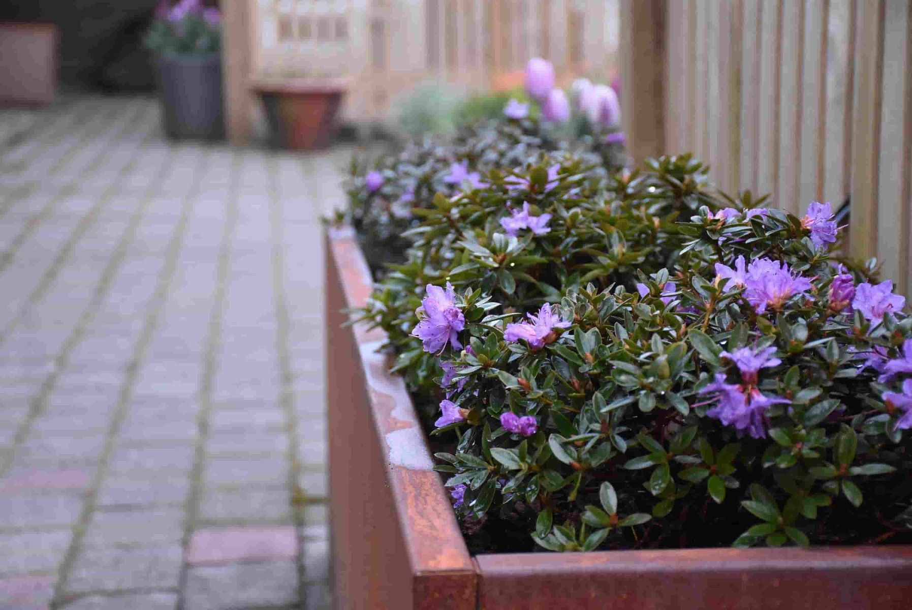 Plantekasser Plantekasser