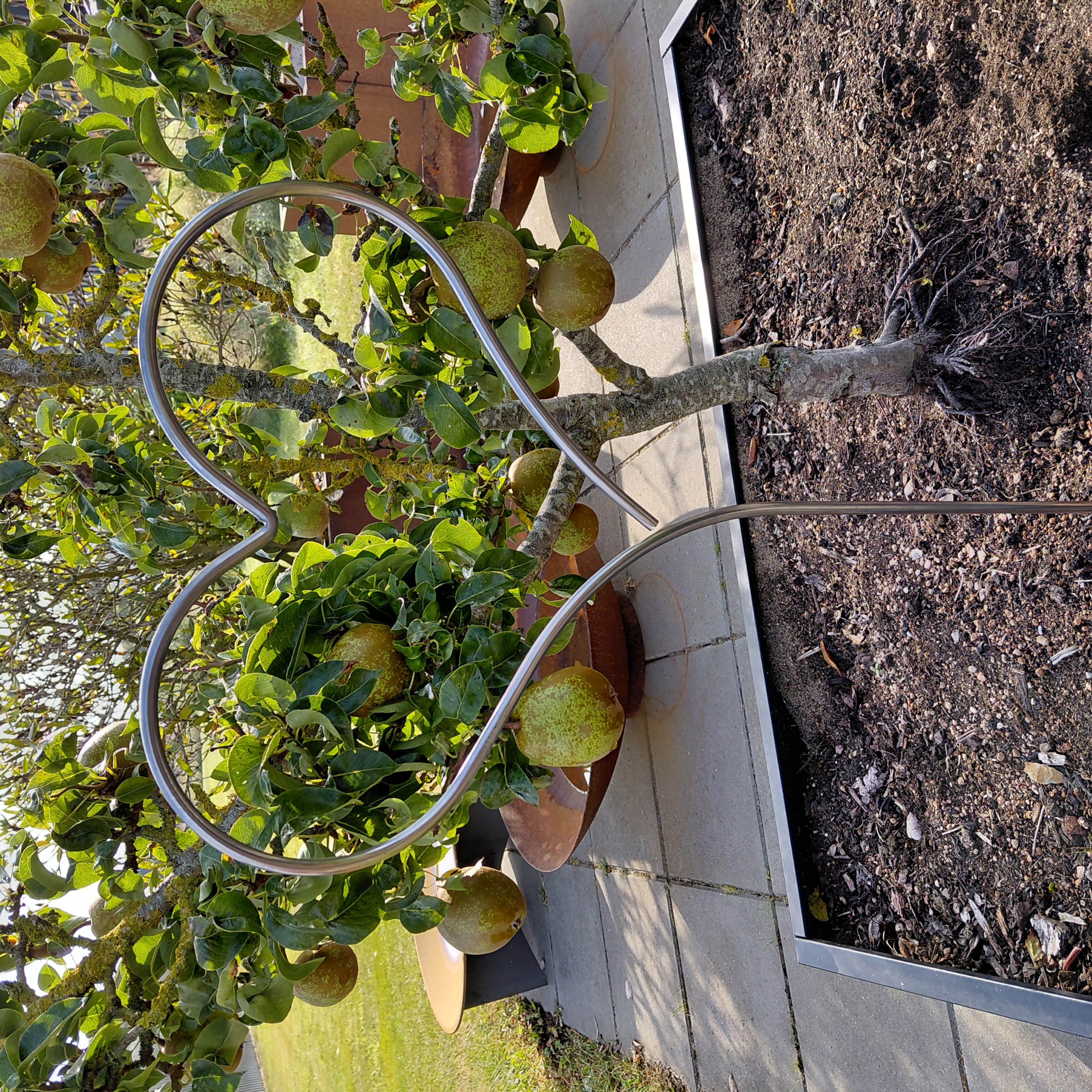 Hjerte på spyd | stor