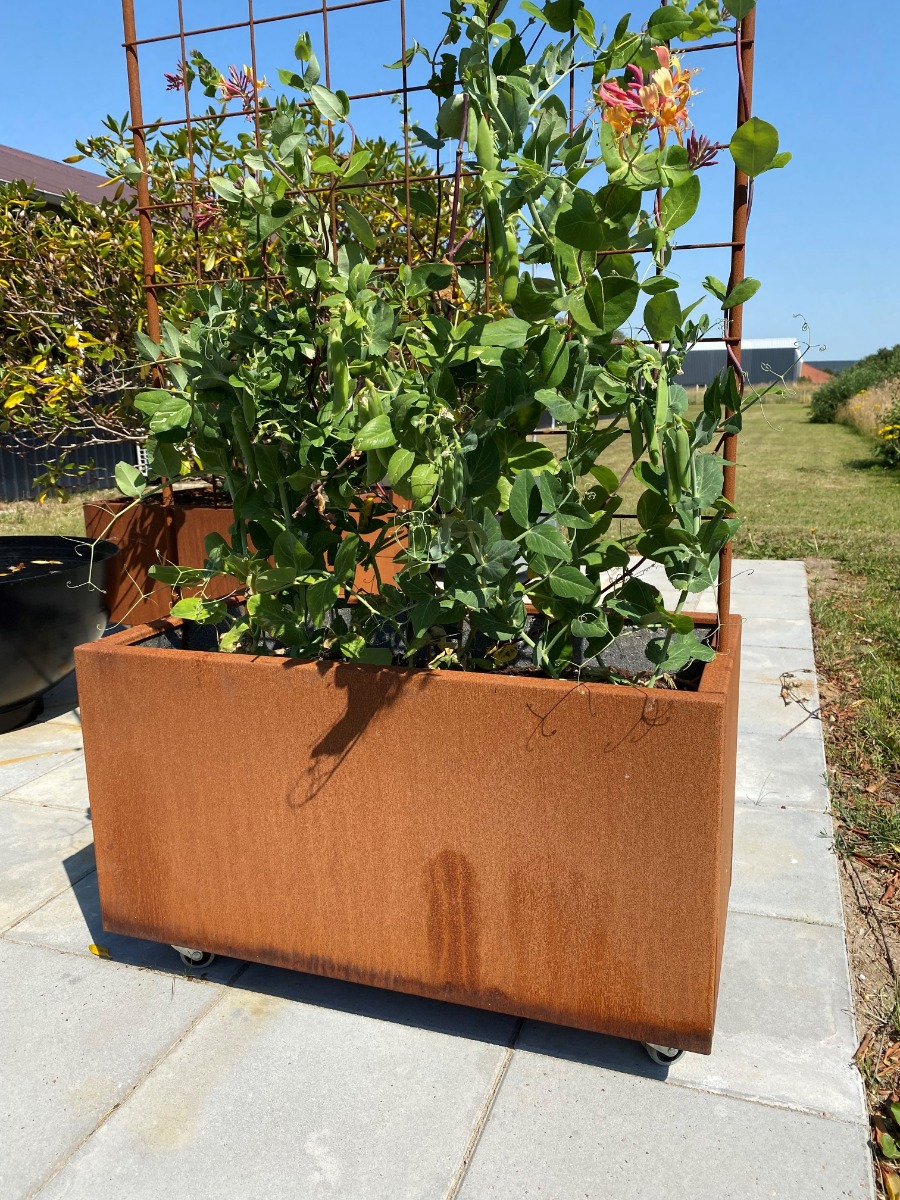 Plantekasse corten m/espalier 80 x 40 x 40 cm