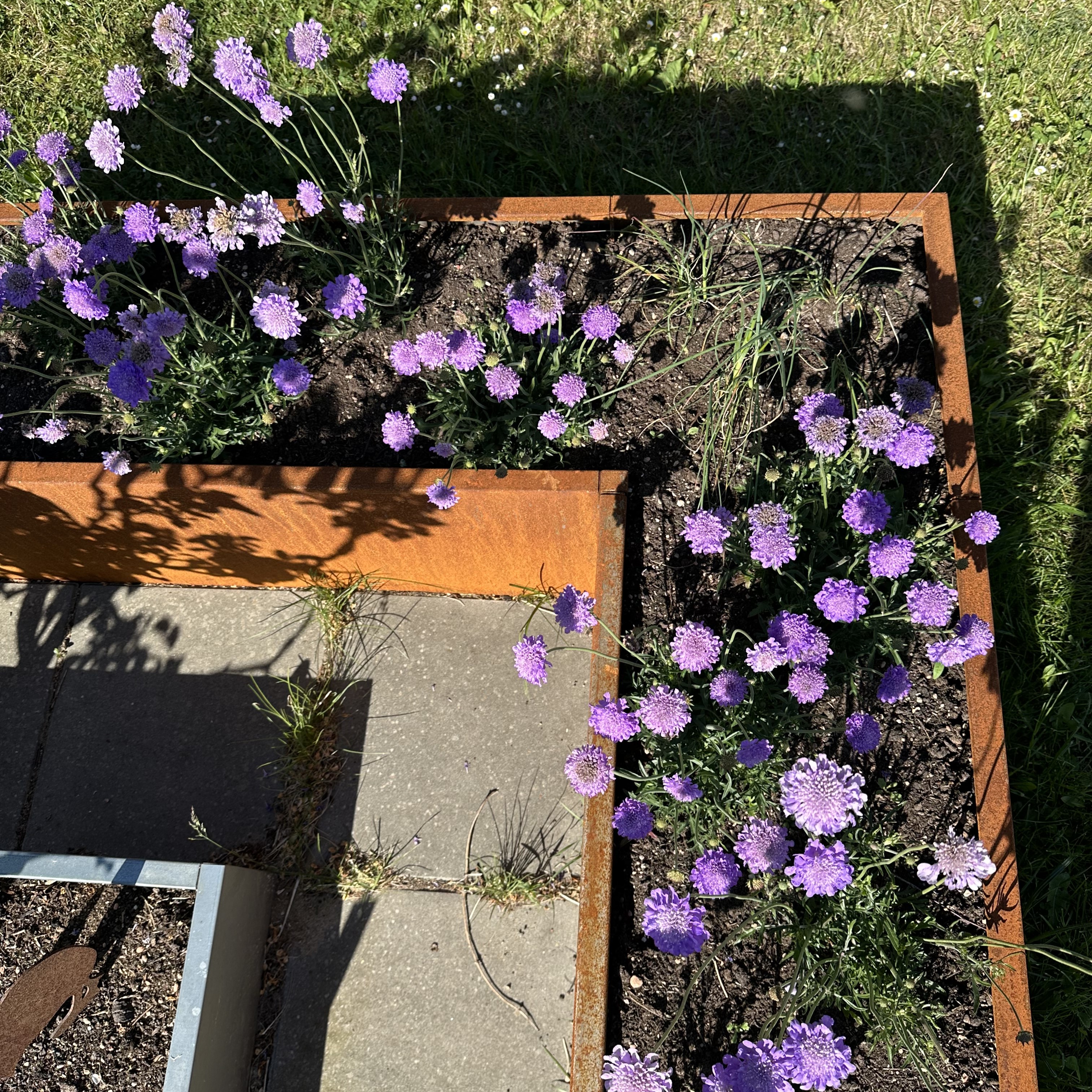 Sansehaven med spejlbassin i corten med påsvejst fod