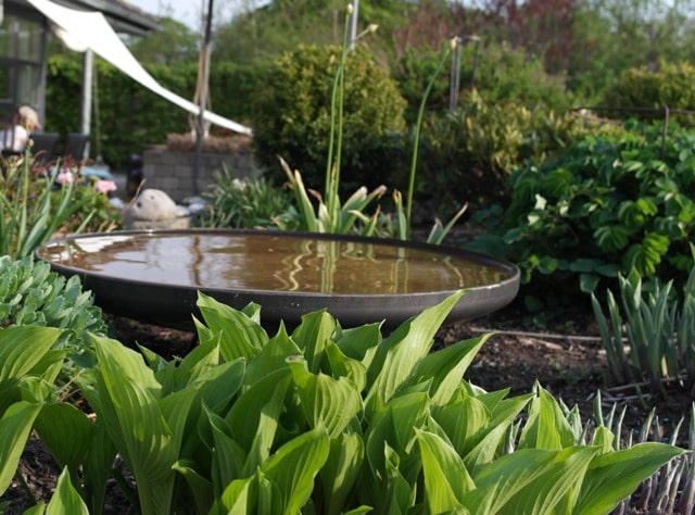 Rundt spejlbassin natur/ rust.