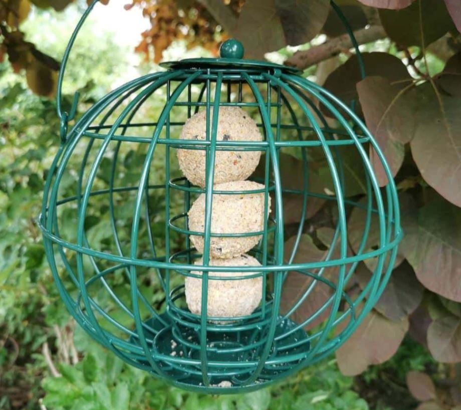 Beskyttet foderautomat til mejsekugler