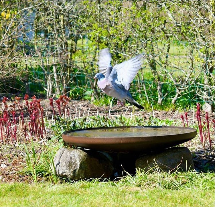 Sansehaven med spejlbassin natur/ rust. | Ø60