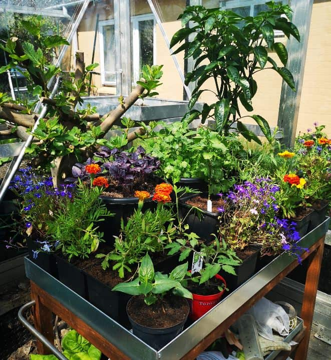 Zinkbakker med længde 87 cm og bredde 27, 37 og 47 cm