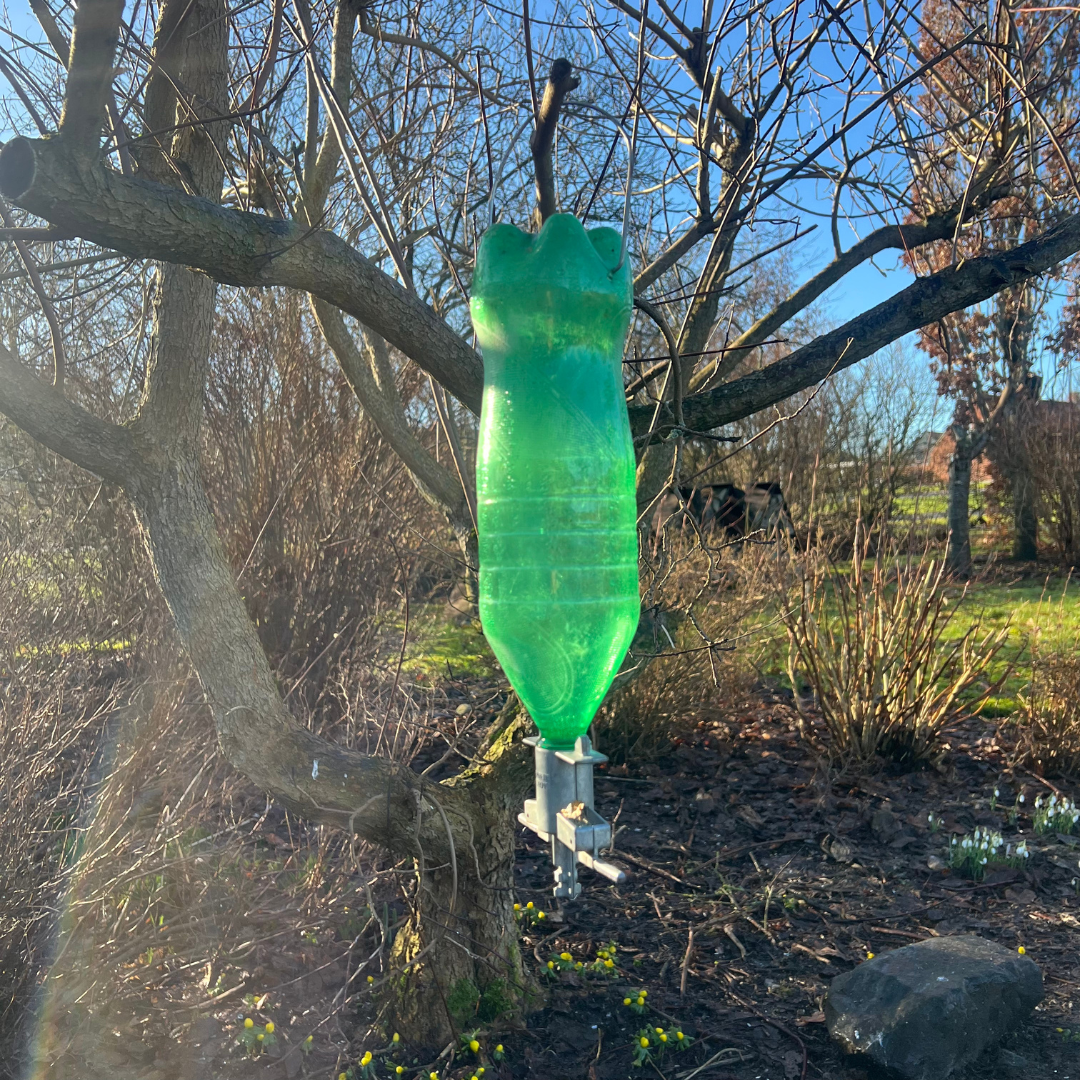 Foderautomat - Soda Bottle Bird Feeder