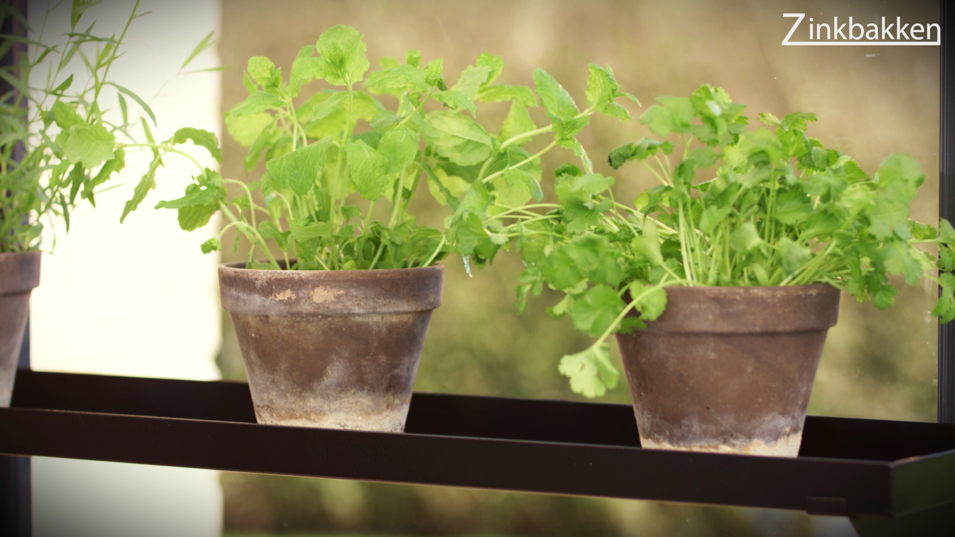 Drivhushylder Sort pulverlakerede | Flere varianter | Højde 3 cm