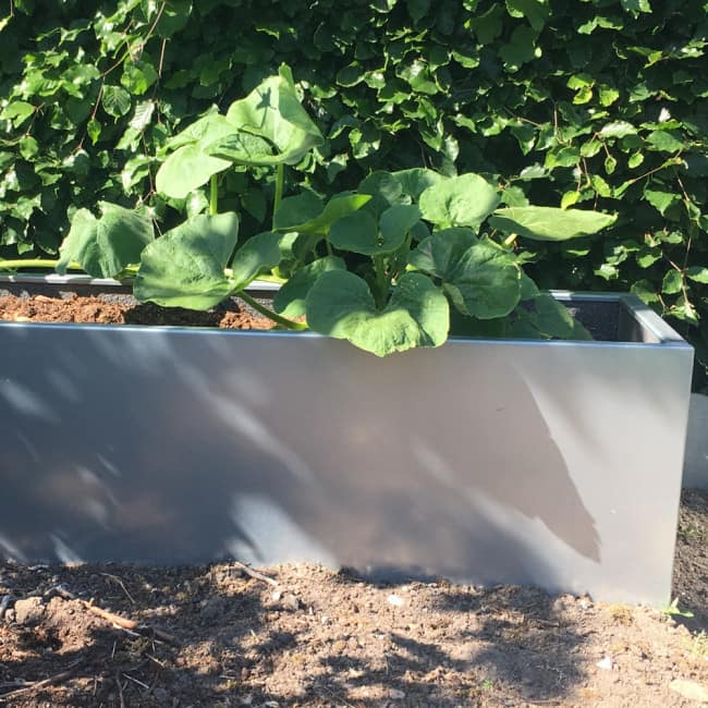 Plantekasse i galvaniseret stål - 80 x 40 x 40 cm-Fødder-Uden flamingo-Uden kapilærindsats