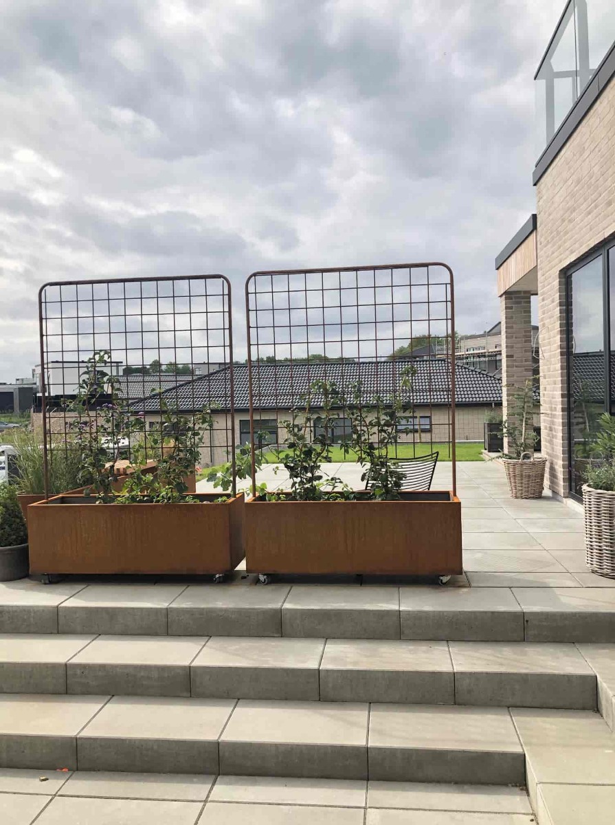 Espalier til plantekasse | Jern