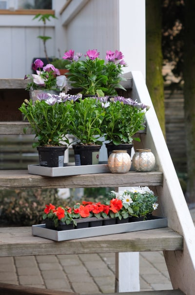 Dekorationsbakke / Zinkbakke 42 x 15 x 3 cm