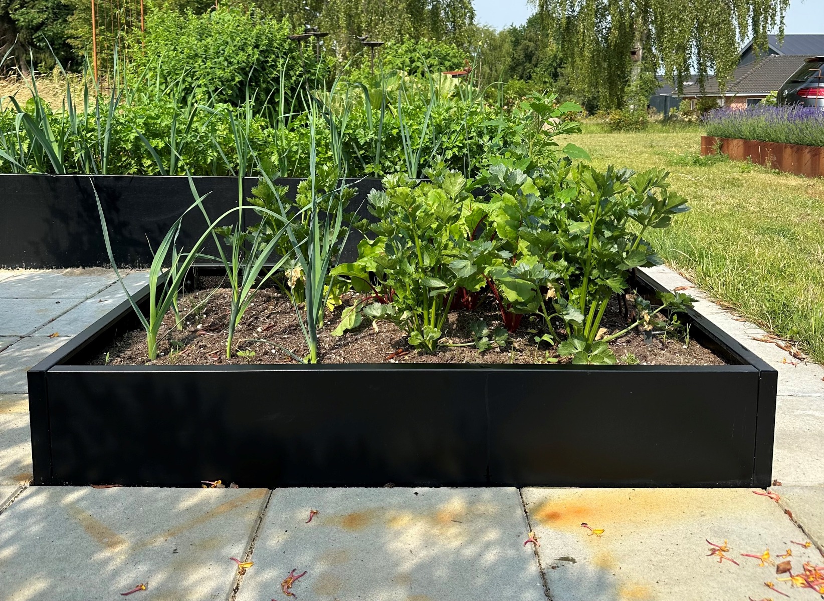 Højbed i sort | B120 H25 | Flere længder