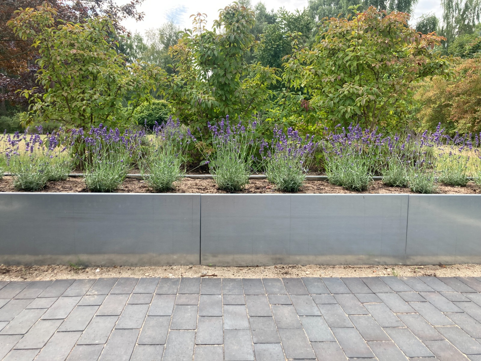 Højbed i galvaniseret stål | B80 H40 | L40 cm