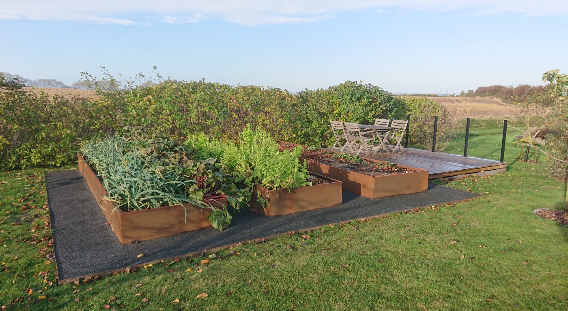 De 4 store højbede | Cortenstål