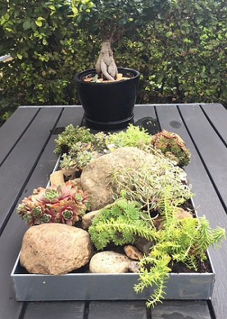 Dekorationsbakke / Zinkbakke 40 x 15 x 4 cm