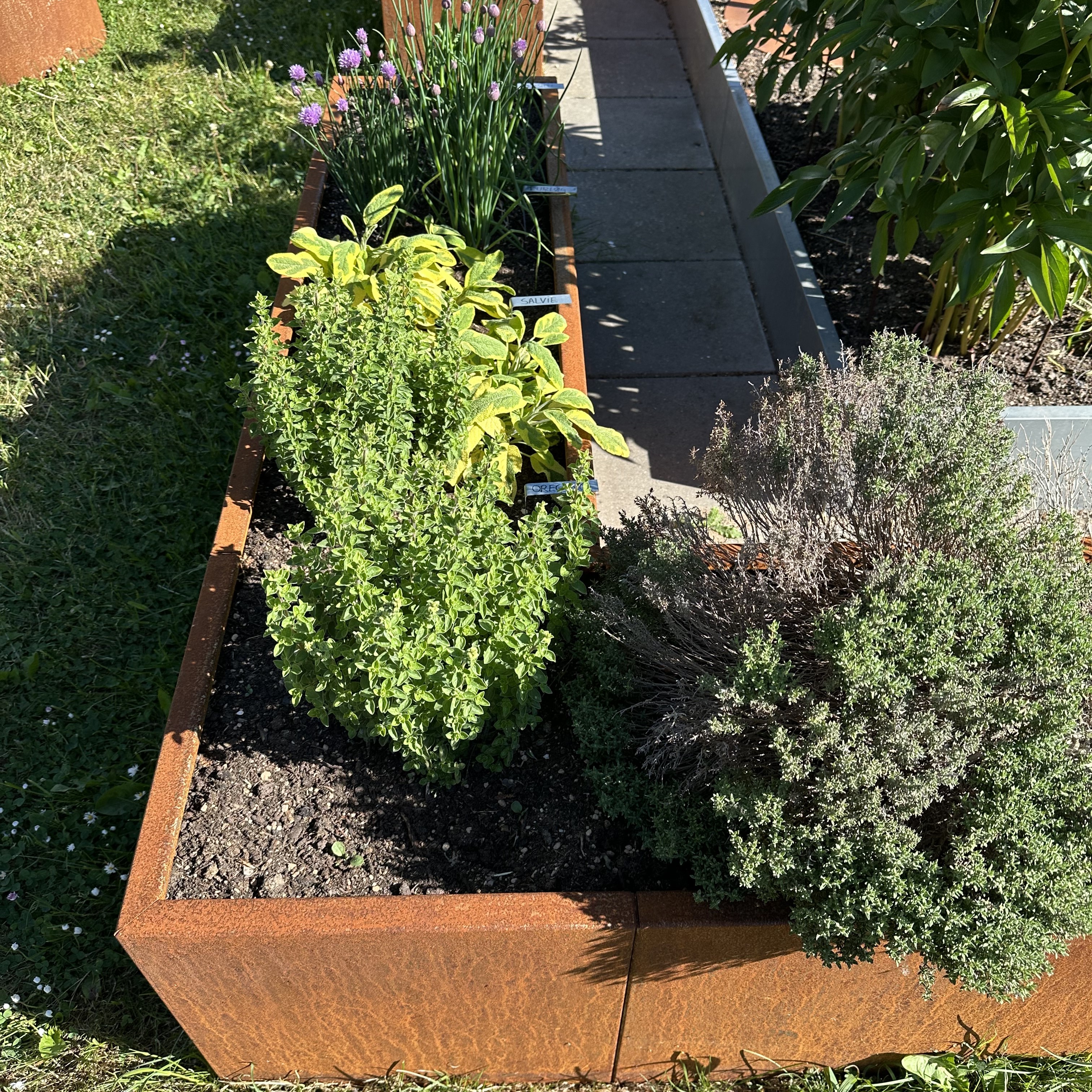 Sansehaven med sort spejlbassin med påsvejst fod